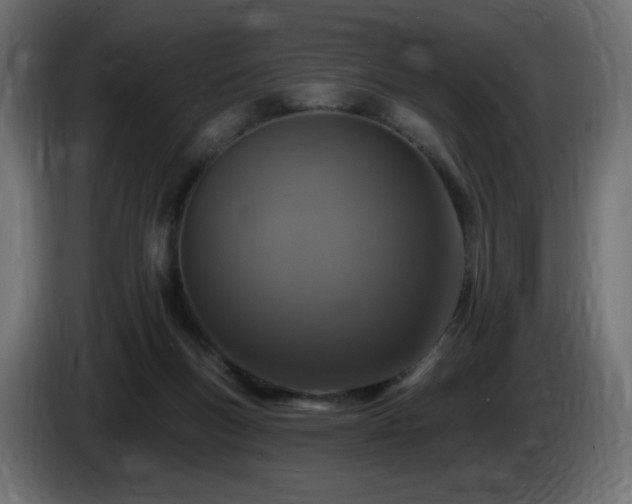 X0000085060167200703051447
