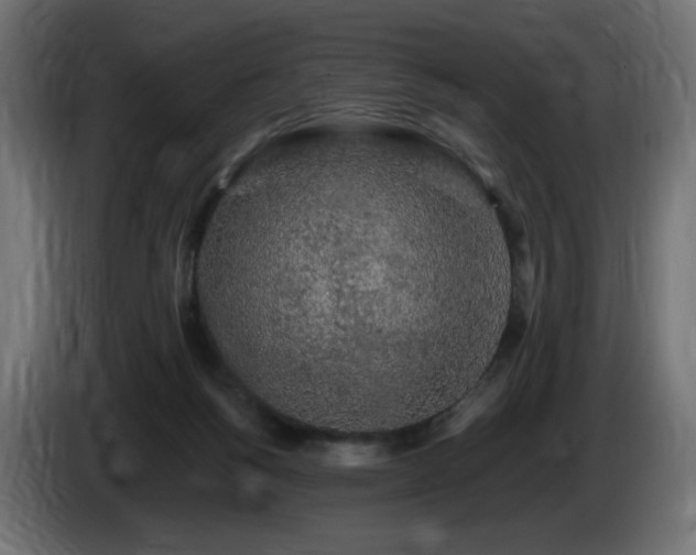 X0000085060168200703051447