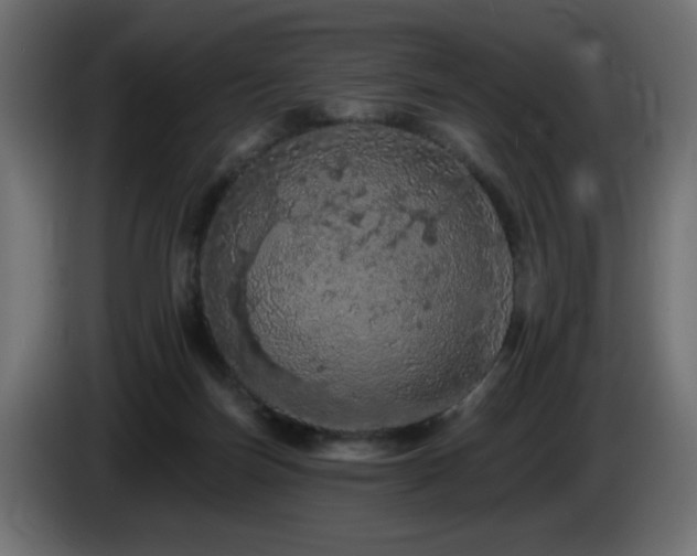 X0000085060171200703051447