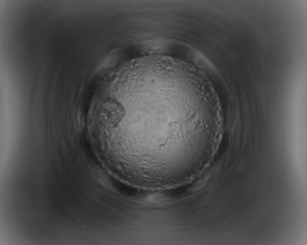 X0000085060173200703051447