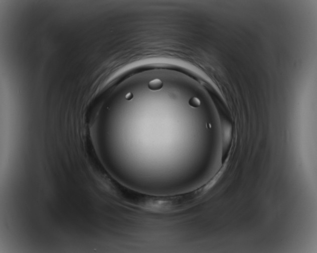 X0000085060174200703051447