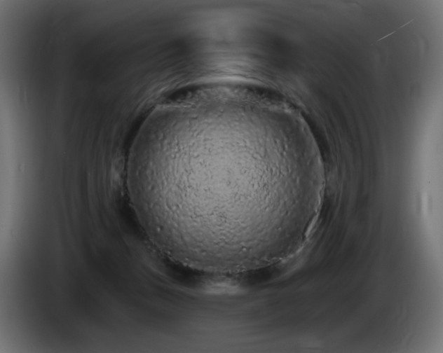 X0000085060175200703051447