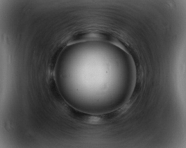 X0000085060176200703051447
