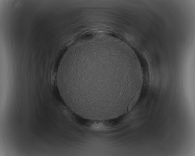 X0000085060177200703051447