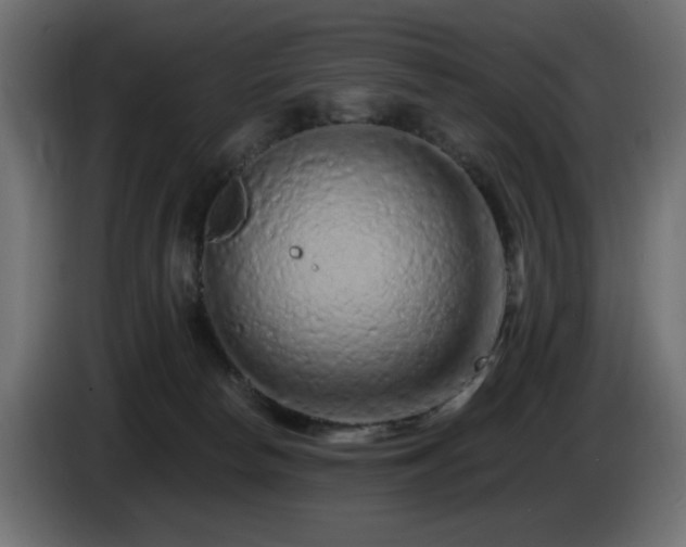 X0000085060178200703051447