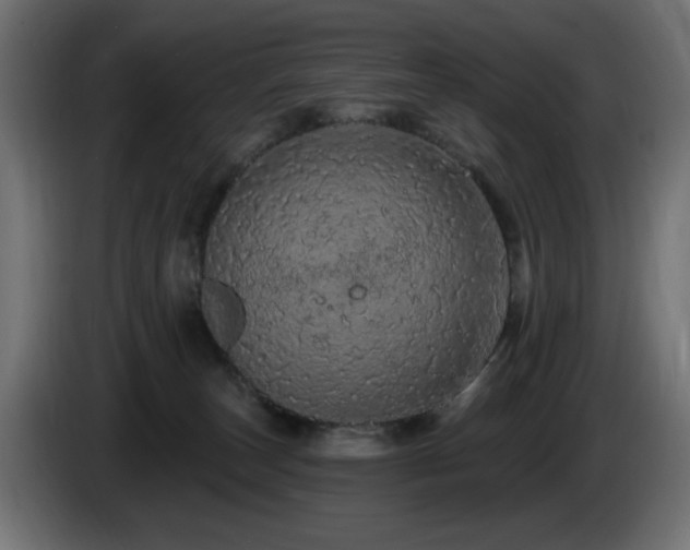 X0000085060179200703051447