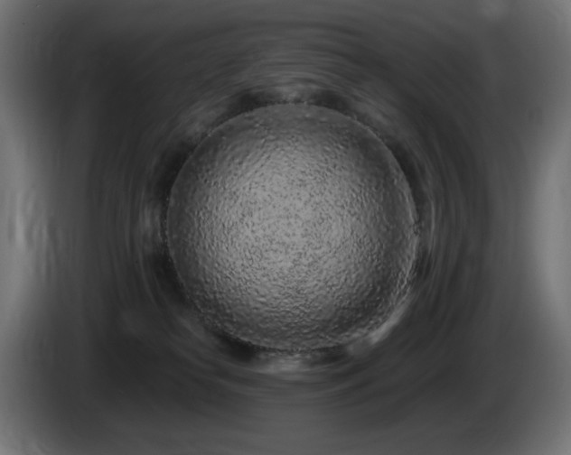 X0000085060182200703051447