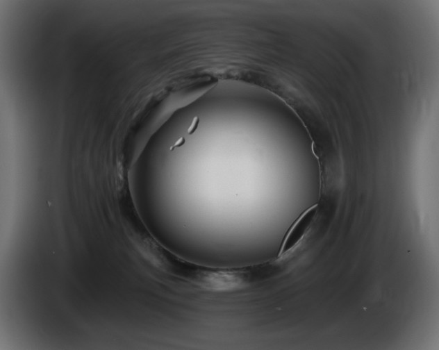 X0000085060183200703051447