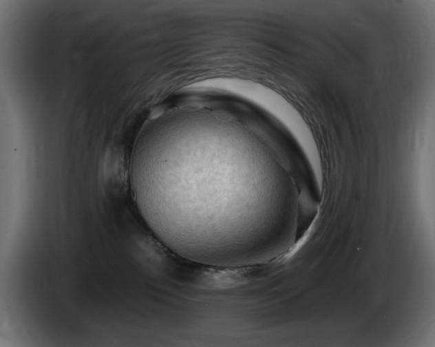 X0000085060186200703051447