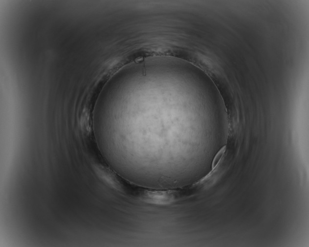 X0000085060187200703051447