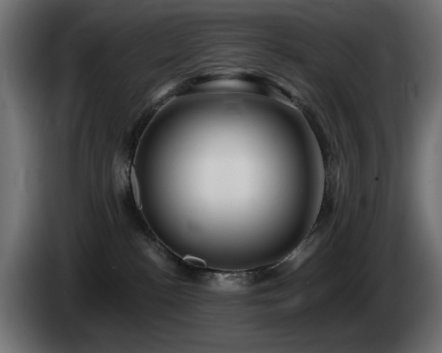 X0000085060188200703051447