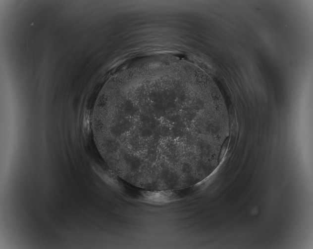 X0000085060191200703051447