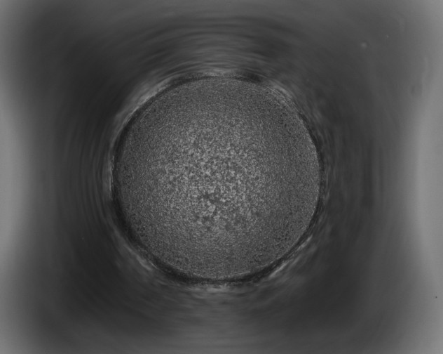 X0000085060194200703051446