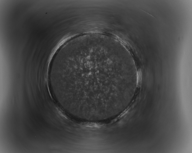 X0000085060195200703051446