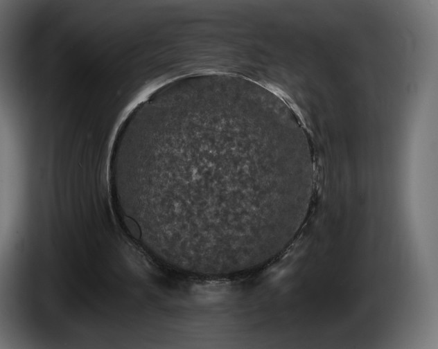 X0000085060196200703051446