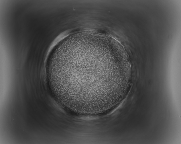 X0000085060198200703051446