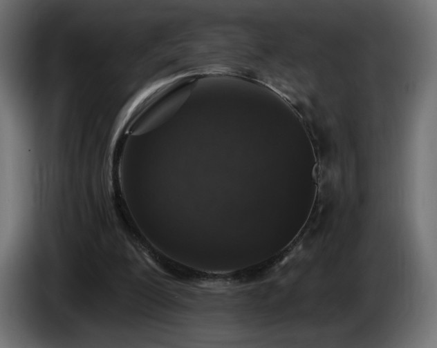 X0000085060200200703051446