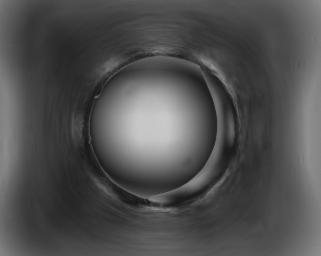 X0000085060201200703051446
