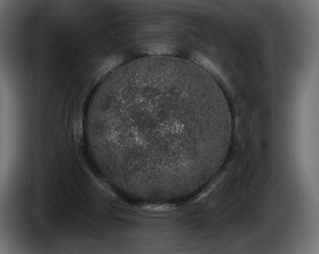 X0000085060202200703051446