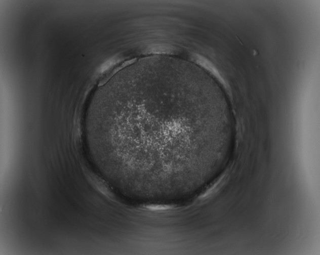 X0000085060203200703051446