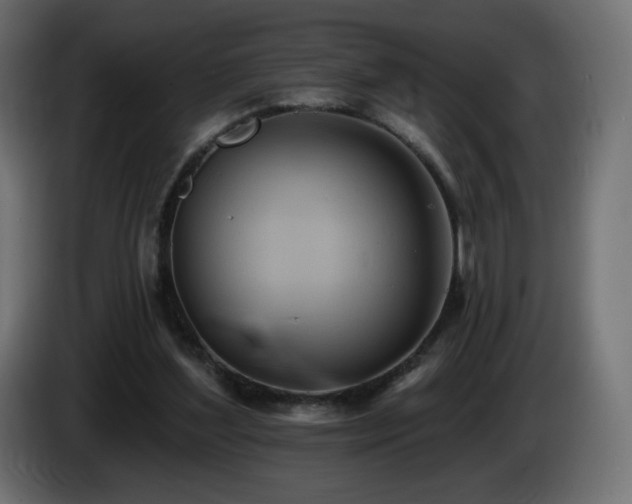 X0000085060204200703051446