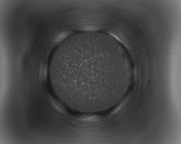 X0000085060206200703051446