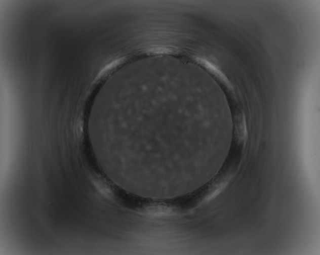 X0000085060207200703051446