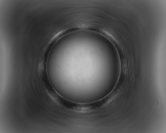 X0000085060208200703051446