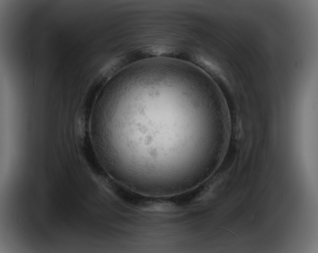 X0000085060210200703051446