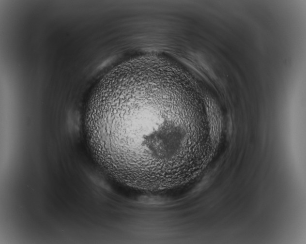 X0000085060211200703051446
