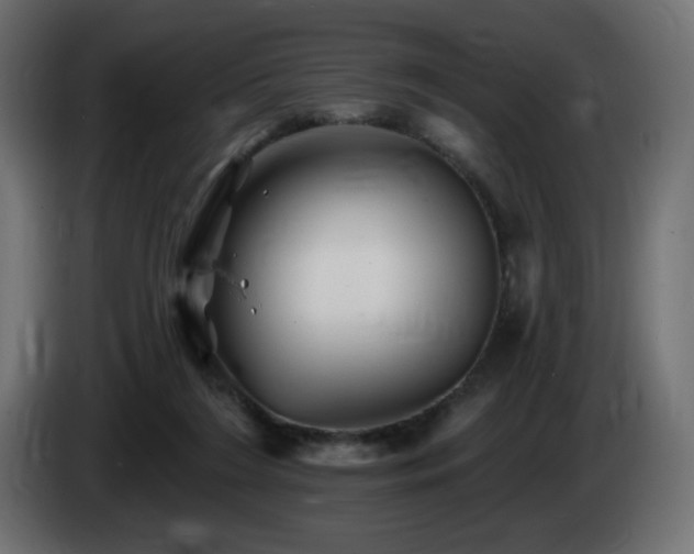 X0000085060212200703051446