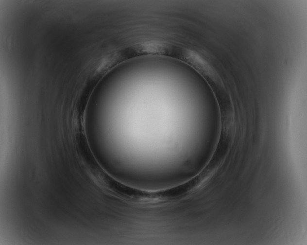 X0000085060213200703051446