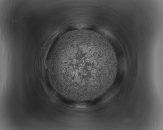 X0000085060214200703051446