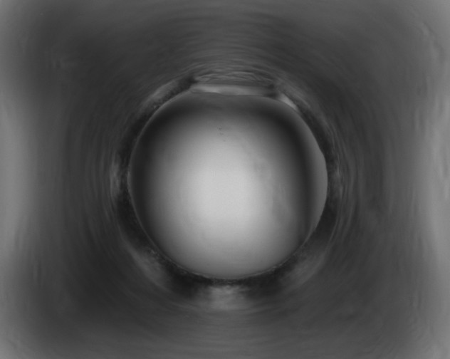 X0000085060216200703051446