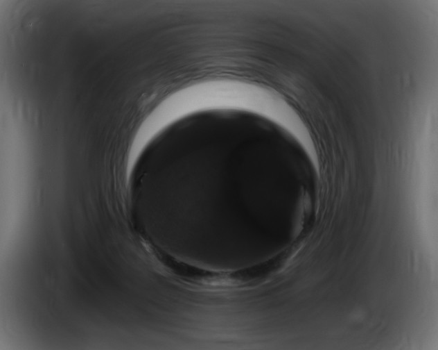 X0000085060219200703051446