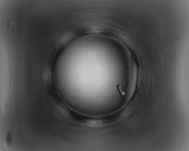 X0000085060220200703051446