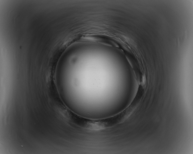 X0000085060221200703051446
