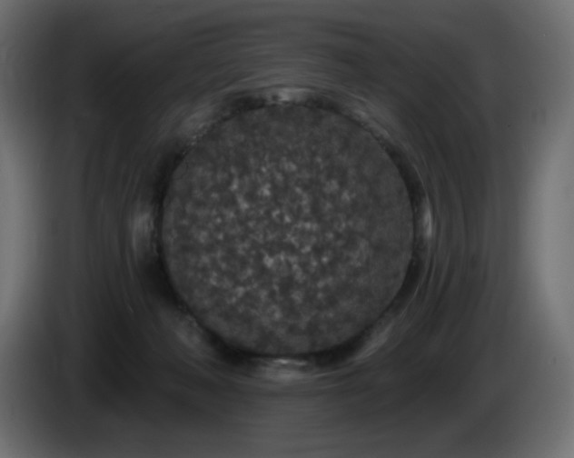 X0000085060222200703051446