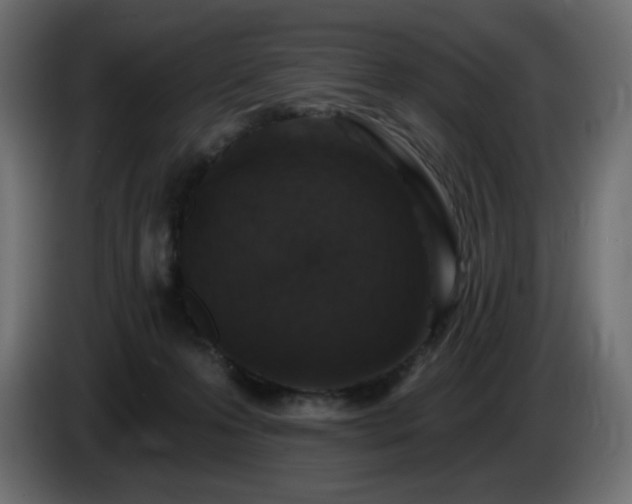 X0000085060223200703051446