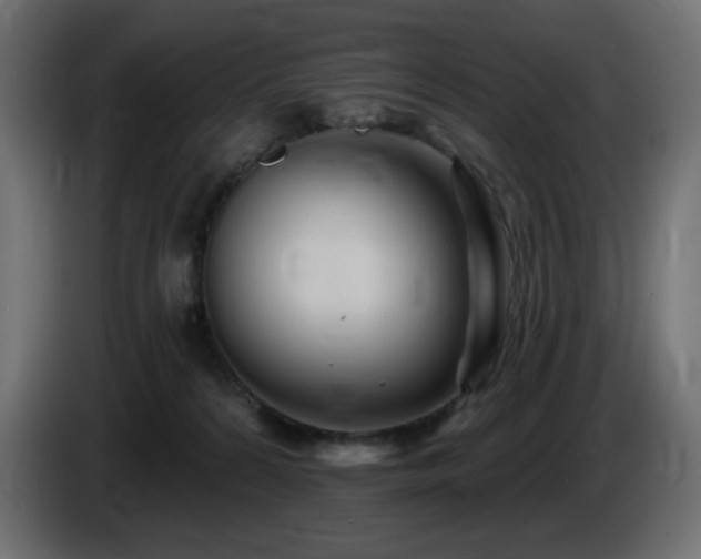 X0000085060224200703051446