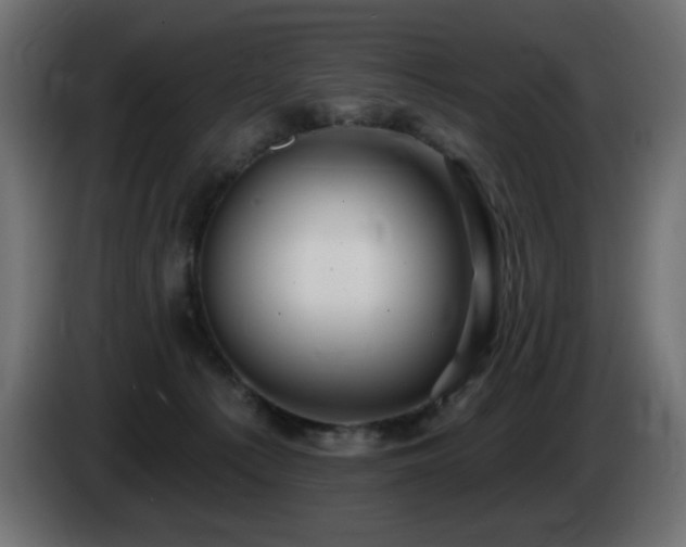 X0000085060225200703051446