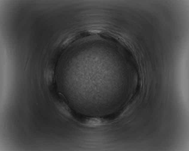 X0000085060227200703051446