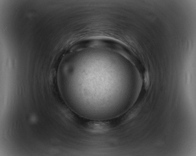 X0000085060229200703051446