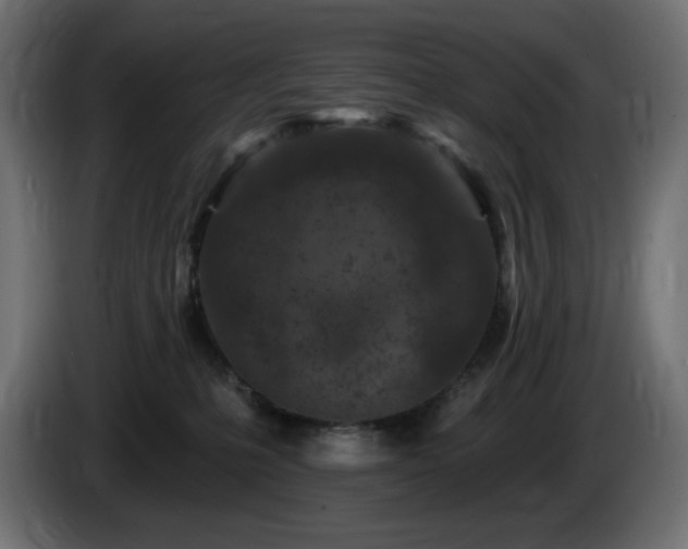 X0000085060231200703051446
