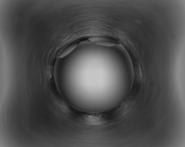 X0000085060232200703051446