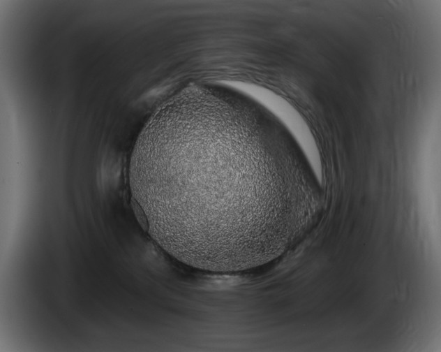 X0000085060233200703051446