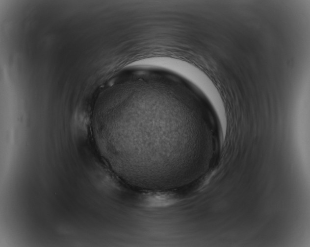 X0000085060235200703051446