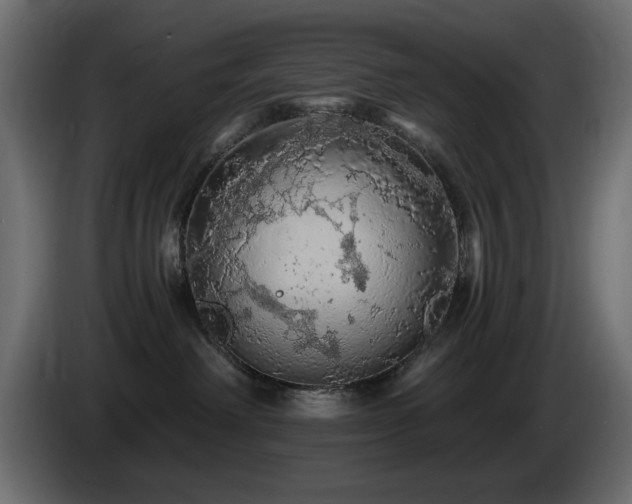 X0000085060238200703051446