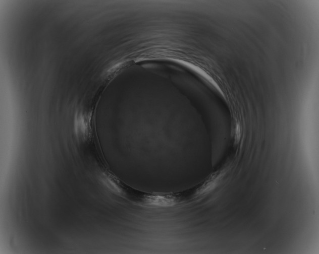 X0000085060239200703051446