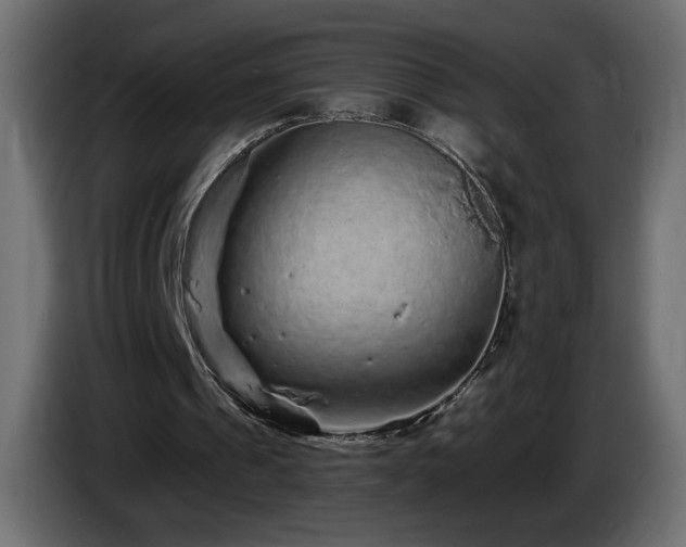 X0000085060241200703051445